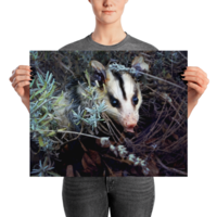 Brokkoli ☆ Poster - Thumbnail 15