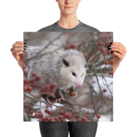 Snowpossum ☆ Poster - Thumbnail 17