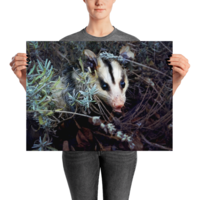 Brokkoli ☆ Poster - Thumbnail 19