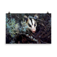 Brokkoli ☆ Poster - Thumbnail 20