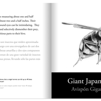 An Introduction to Arthropods: Insects, Arachnids, Myriapods and Crustaceans - Thumbnail 3