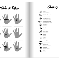 An Introduction to Arthropods: Insects, Arachnids, Myriapods and Crustaceans - Thumbnail 4