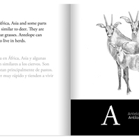 Animal Alphabet: Alfabeto de Animales - Thumbnail 1
