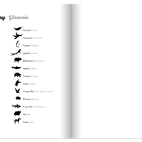 Animal Alphabet: Alfabeto de Animales - Thumbnail 2
