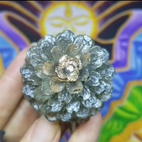 CUSTOM 3D Pinecone - Thumbnail 1