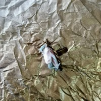 Horse Ring - Thumbnail 2