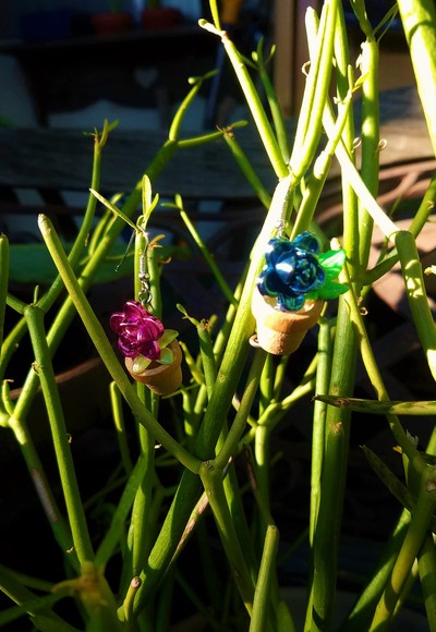 The Sun and Her Flowers earrings