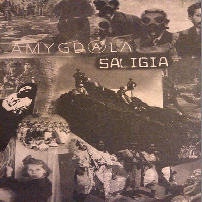 Amygdala / saligia split 7"