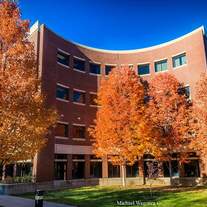 Autumn Has Fallen (16x20)