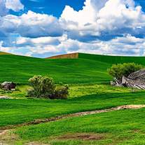 Teeter Tottering Barn (8x10)