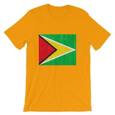 Guyana flag unisex t-shirt