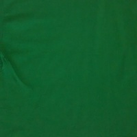 N$E No$lacknEnt. (Green,White & Red) Business T-shirt. - Thumbnail 1