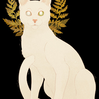 Sage - Long Sleeve T-Shirt - Thumbnail 1