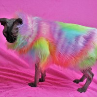 Double Rainbow - Thumbnail 2