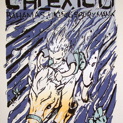 Calexico, carrboro, nc 2013