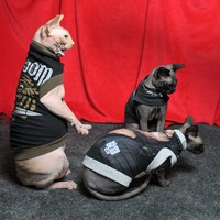 The Walking Dead - Upcycled - Thumbnail 3