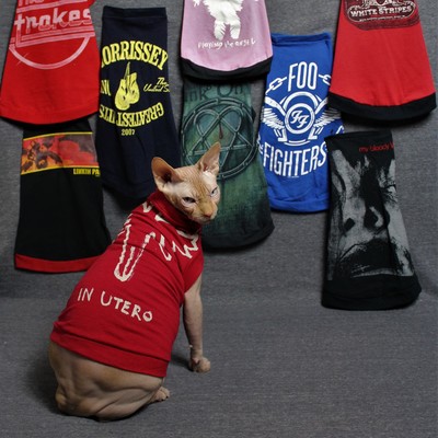 Alternative music - upcycled