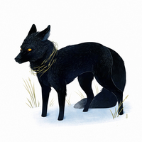 Tread Soft - Long Sleeve T-Shirt - Thumbnail 1