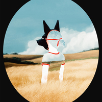 Wild Youth - Black T-Shirt - Thumbnail 1