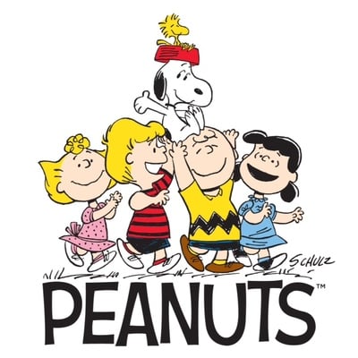 Peanuts - upcycled