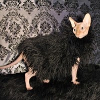 Krampus - Thumbnail 2