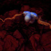 GO SOFTLY-ACTION FIGURE-JUNGOL - Thumbnail 4