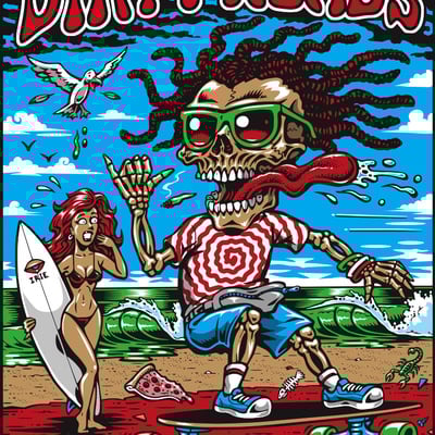 Dirty heads 18x24 screenprinted poster (signed and numbered)