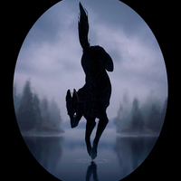 Mirage - Long Sleeve T-Shirt - Thumbnail 1