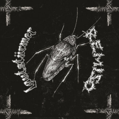 Lautstürmer / remiso "split" lp 