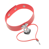 HEART LOCK CHOKER ( WITH KEY ) - Thumbnail 4