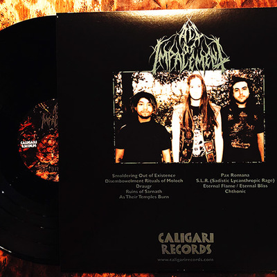 Act of impalement - perdition cult (vinyl cal-100)