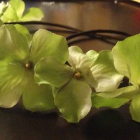 Esmeralda - Thumbnail 2