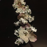 Periwinkle - Thumbnail 2