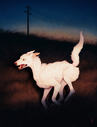 Night Flight - Print