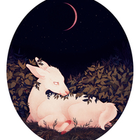 Thicket - T-Shirt - Thumbnail 1