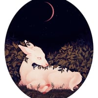 Thicket - Sweatshirt - Thumbnail 1