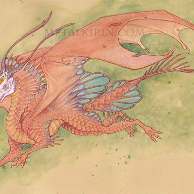 Skull dragon open edition print