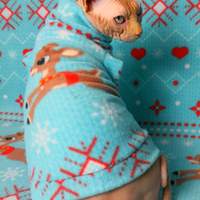 Rudolph - Thumbnail 1