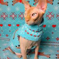 Rudolph - Thumbnail 2