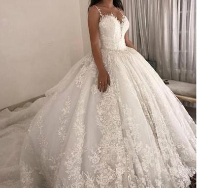 Beautiful Princess Wedding Dresses Spaghetti Strap Lace Appliques Chapel Wedding Gown Long Train Backless Robes De Mariee