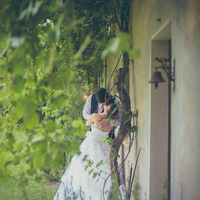 Stunning Ball Gown Tulle Wedding Dresses Strapless Polka Dots Puffy Bridal Gowns - Thumbnail 3