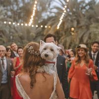 Simple Mermaid Wedding Dresses Boat Neck Backless Beading Crystals Bridal Gowns - Thumbnail 3