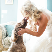 Glamorous Mermaid Garden Wedding Dresses Strapless Beading Crystals Belt Ruffle Bridal Gowns - Thumbnail 4