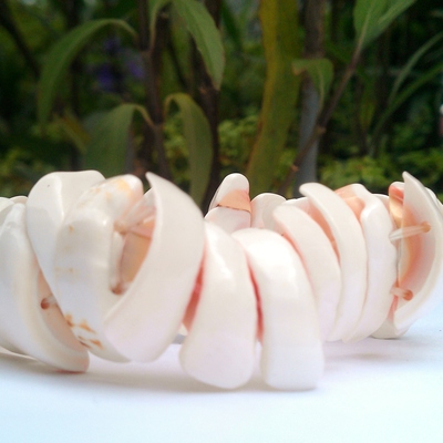Natural shell bracelet