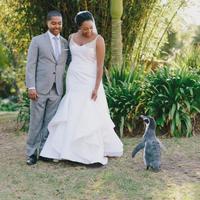 Vestido De Novia Mermaid Wedding Dresses Spaghetti Straps With Crystals Beadings Ruffles Bridal Dresses Gowns Plus Size Custom Made - Thumbnail 3