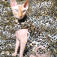 Call of the Wild - Thumbnail 2