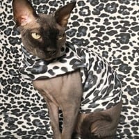 Animal Magnetism - Thumbnail 1