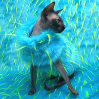 Whatchamacallit - Thumbnail 2