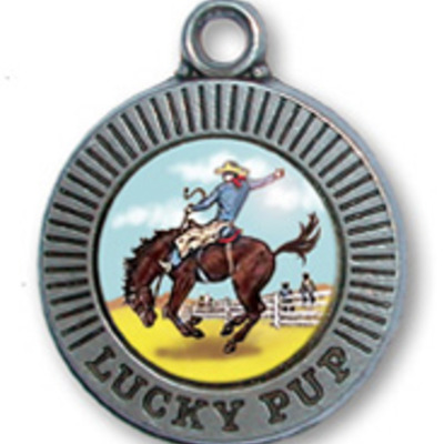 Bronco id tag- large