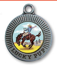 Bronco ID Tag- Large